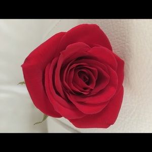 Meet your Posher, Crystal